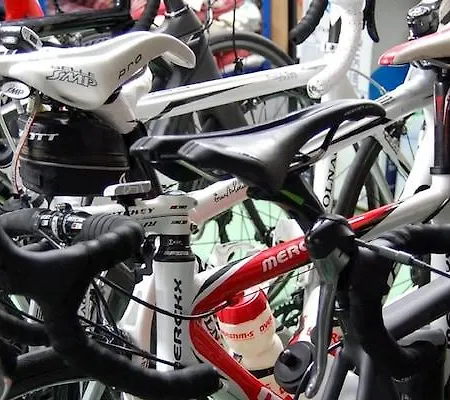 Hotel De La Forêt 3*