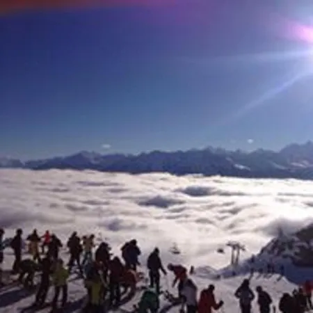 Отель De La Foret 3*