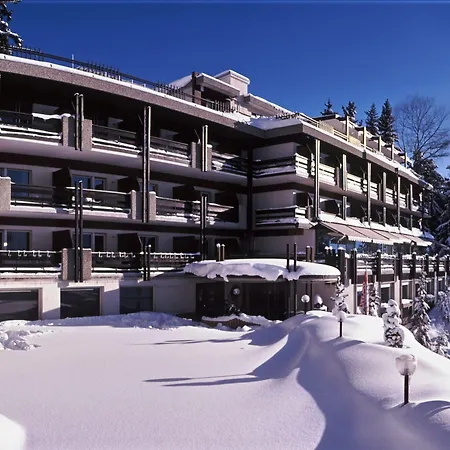 De La Foret Hotel