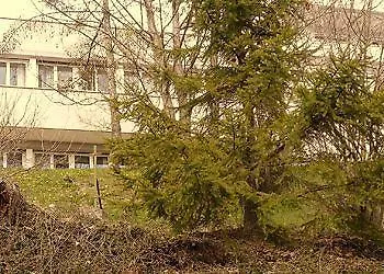 De La Foret Hotel