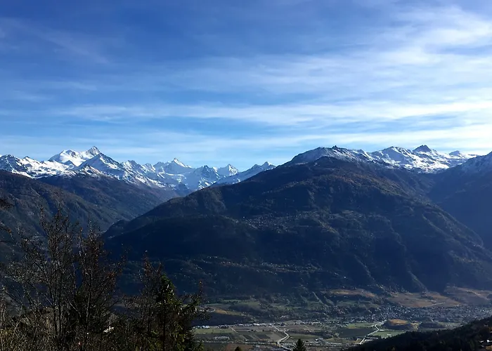 Hotel De La Foret 3*