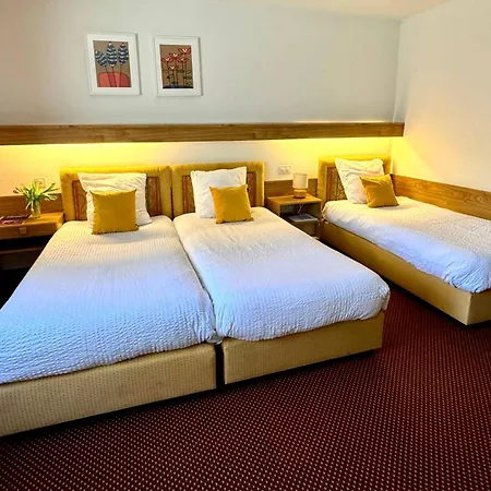 De La Foret Hotell 3*