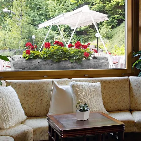 Hotel De La Foret 3*