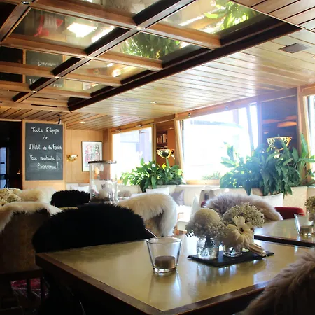 Otel De La Foret 3*
